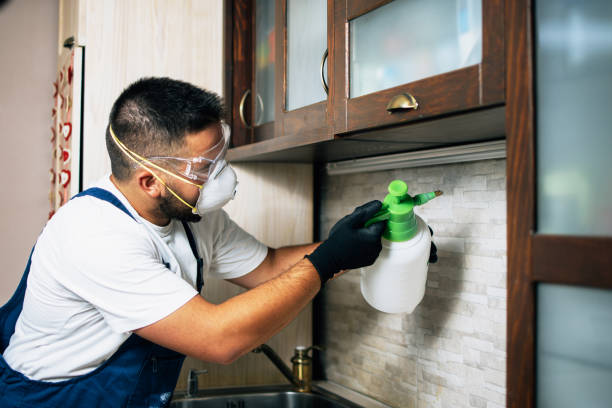 Best Pest Prevention Services  in Unionville, TN