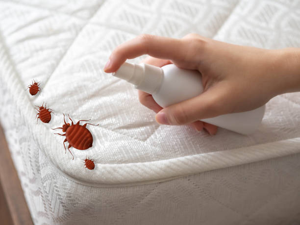 Best Bed Bug Extermination  in Unionville, TN