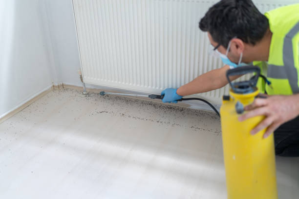 Best Emergency Pest Control  in Unionville, TN